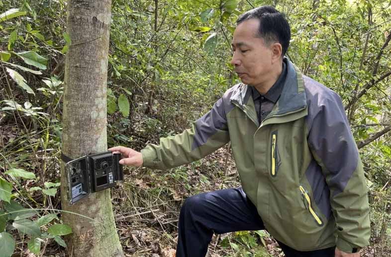 优威红外相机助力广东始兴南山保护区生态智慧监测