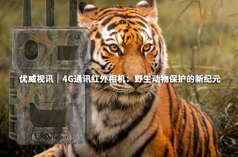 优威视讯│4G通讯红外相机：野生动物保护的新纪元