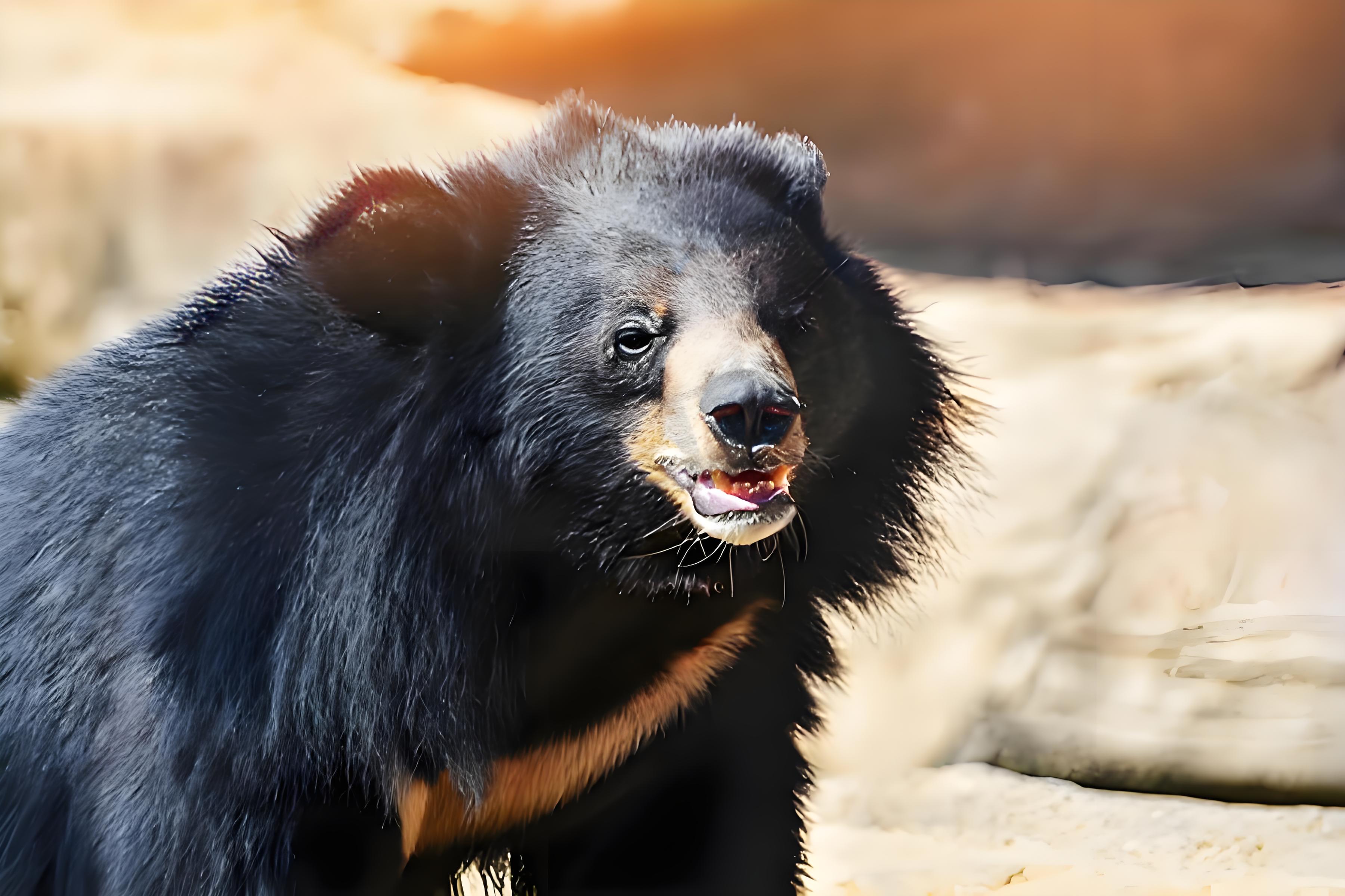 1728615347842186.jpg 4cb0eb83-f743-45d3-8b78-2e3fec0eb018.jpg