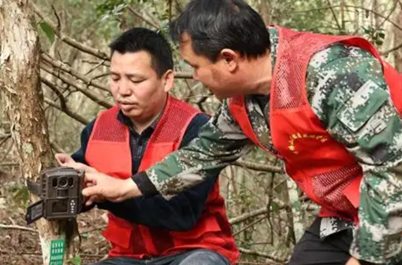 揭秘优威红外相机如何改变生物多样性保护游戏规则