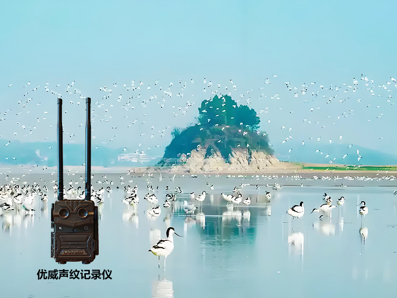 未标题-2.jpg