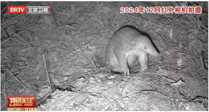 微信截图_20250422160502.png