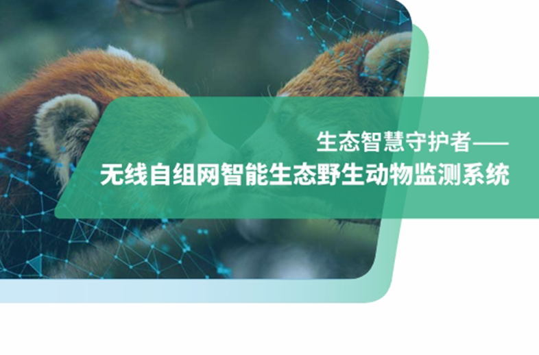 优威自组网红外相机技术：突破野外无信号壁垒，助力野生动物监测