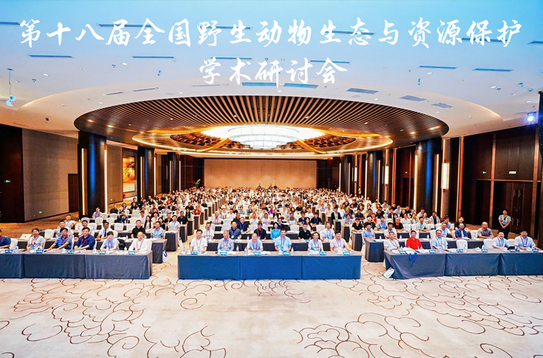 【深度解读】第十八届全国野生动物生态与资源保护学术研讨会：一场关乎地球未来的“脑力风暴”