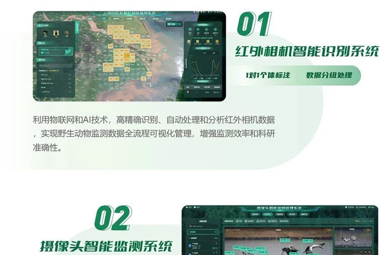 优威视讯推出生物多样性监测系统，助力智慧林区管理升级。