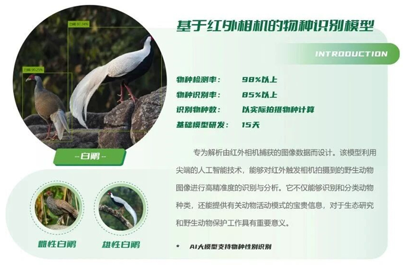 优威视讯AI物种识别模型：红外相机+声纹技术推动生物多样性科研进入智能时代