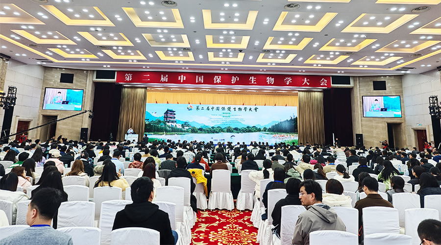 1765343988113366.jpg 未标题-1.jpg