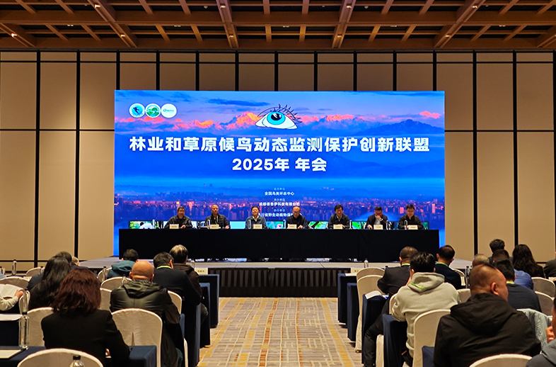 优威视讯受邀参加林业和草原候鸟动态监测保护创新联盟2025年年会，以智能科技助力候鸟保护新篇章