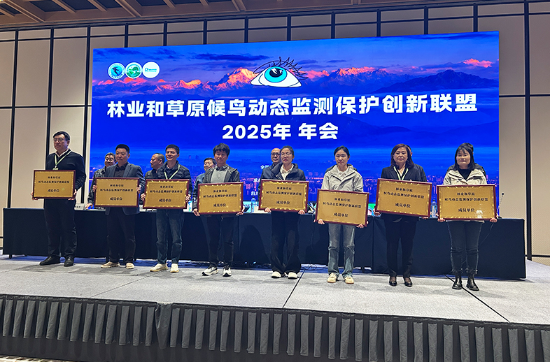 1774486472668572.jpg 2.jpg