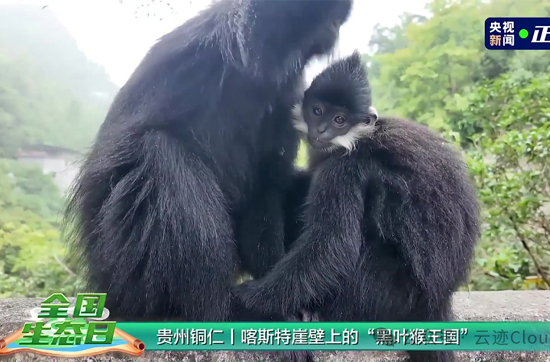 优威生物多样性智能监测系统获央视报道